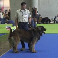 Salzburg Clubschau Mai 06 250 